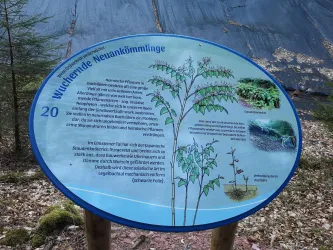 Trifterlebnispfad - Infotafel 20