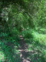 Mordkammerloch-Pfad