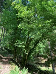 Mordkammerloch-Pfad