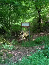 Abzweigung Mordkammerloch-Pfad - Schlossbergweg