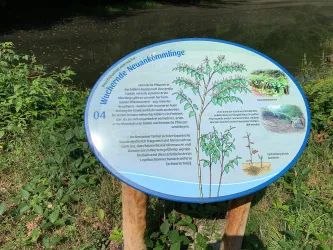 Wenn Grünschnitt weiterwächst-Infotafel 4