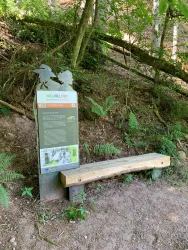 Felsenkönig Infotafel 10