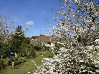 Unser Fruehlingsgarten (© Eig.Foto)
