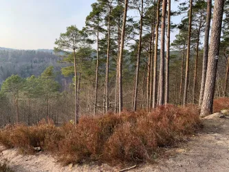 Ausblick vom Kurzeneckkopf