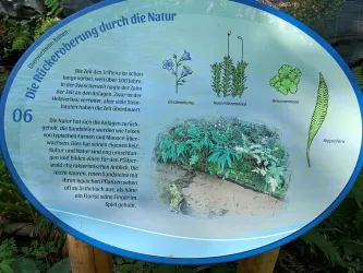 Trifterlebnispfad - Infotafel 06