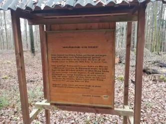 Infotafel Museumswald
