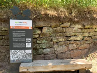 Felsenkönig Infotafel 8