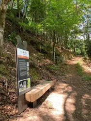 Felsenkönig Infotafel 11