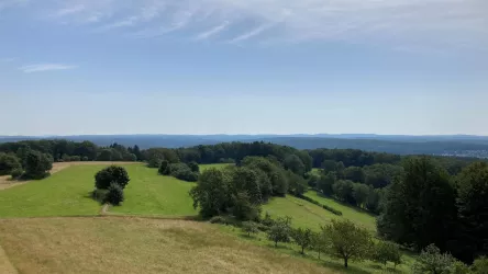 Blick vom Aussichtsturm 2