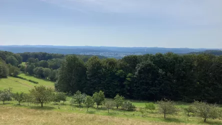 Blick vom Aussichtsturm