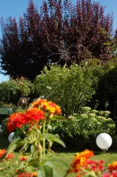 garten2
