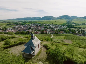 Ilbesheimer Kirchberg