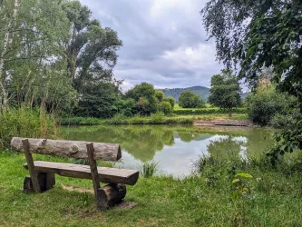 Ahlmühlweiher mit Blick auf die Madenburg