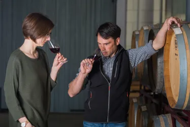 Weingut Erlenwein