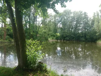 Sauwoogweiher