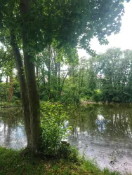 Sauwoogweiher Ilbesheim