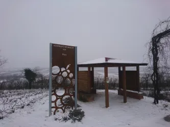Schönste Aussicht im Schnee