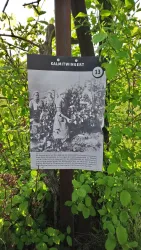 Weinlehrpfad Kalmitwingert