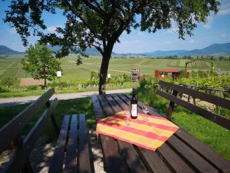 Picknick mit Ausblick