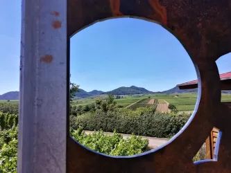 Blick auf den Haardtrand