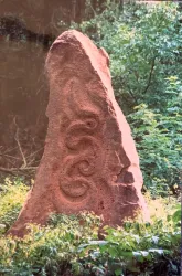 Wasserstein - Frankeneck