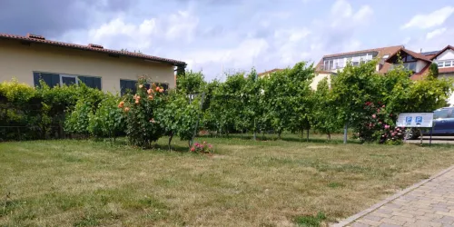 Reisemobilstellplatz Weinhaus im Linsenbusch
