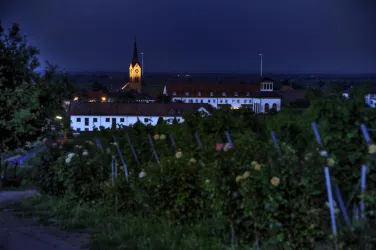 Hofgut Ruppertsberg 2