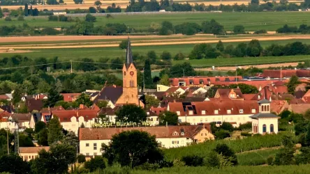 Luftbild Ruppertsberg