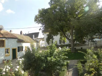 Rosengarten und Walnussbaum