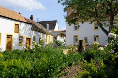 Innenhof 2012