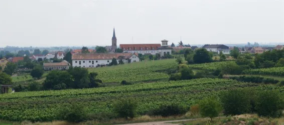 Weinlage Hoheburg