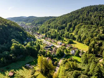 Ortsansicht (© Verein SÜW Annweiler e.V., Fotograf: Dominik Ketz)