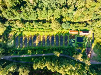 Ökoforschungssystem Anlage Eußerthal RPTU (© Verein SÜW Annweiler e.V., Fotograf: Dominik Ketz)
