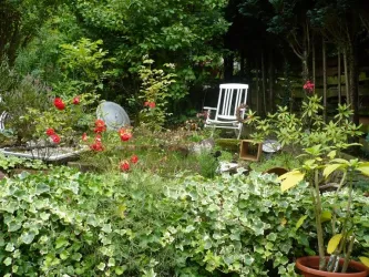 Haus Sonja (© Haus Sonja)