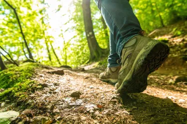 Wandern (© Verein SÜW Annweiler e.V., Fotograf Dominik Ketz)