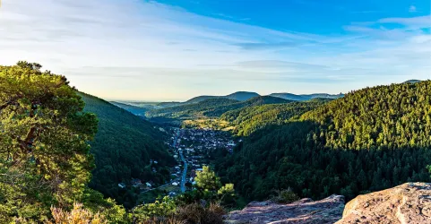 Beutelsberg (© Wohlrabe Quadronet, Verein SÜW Annweiler e.V.)