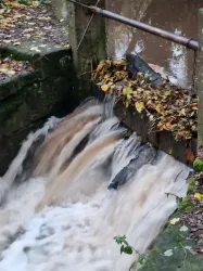 Herbstlaub an der Schließ