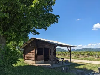 Grillhütte Klingen