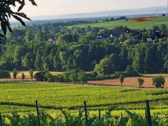 Weitsicht