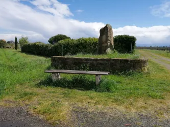 Bank beim Kronenberg (© Urlaubsregion Freinsheim - M. Henninger)