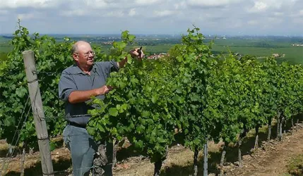 Winzermeister Robert Anthon (© Robert Anthon)
