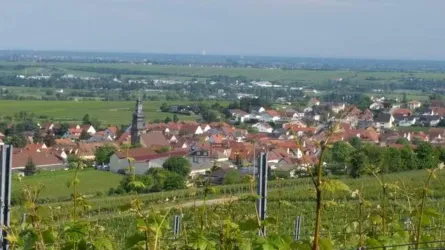 Kallstadt und Umgebung, Blick auf Kallstadt (© Urlaubsregion Freinsheim)