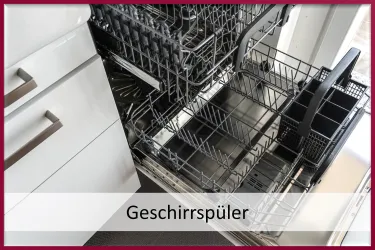 Geschirrspüler (© Florian Diwok)