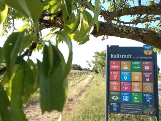 Kallstadt - nachhaltige Modellgemeinde (© Dominique Christ)