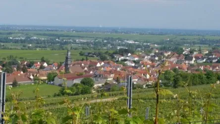 WG Kallstadt (© Robert Anthon)