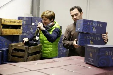 Weinlager Weingut Bühler (© MH Familie Bühler)