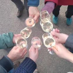 gruppe-bei-weinwanderung-gemeinsame-weinprobe