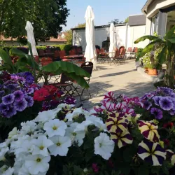 Gemütliche Terrasse