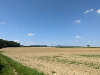 Weiter Ausblick Richtung Westen zum Pfälzerwald