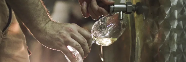 Weingut Schneiderfritz